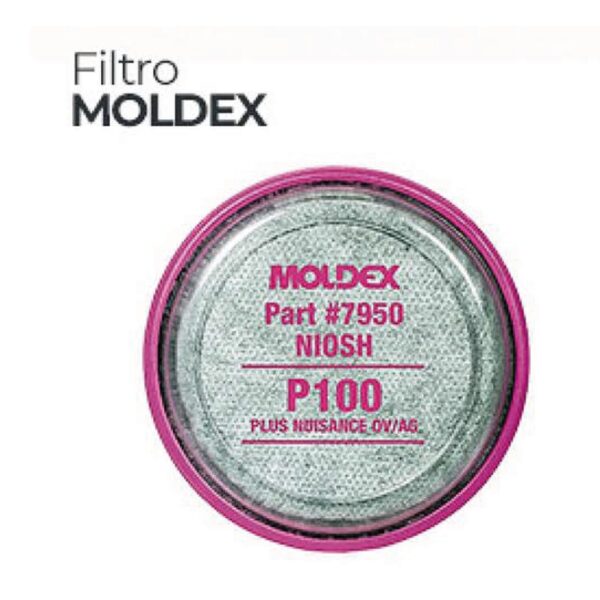 FILTRO MOLDEX